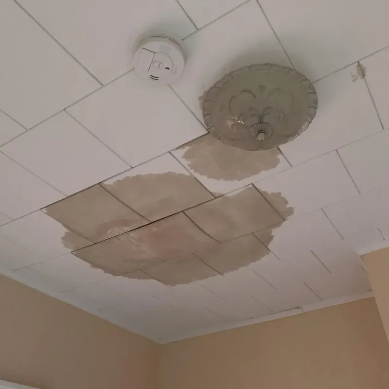 Ceiling Water Damage Repair in Marengo, IA