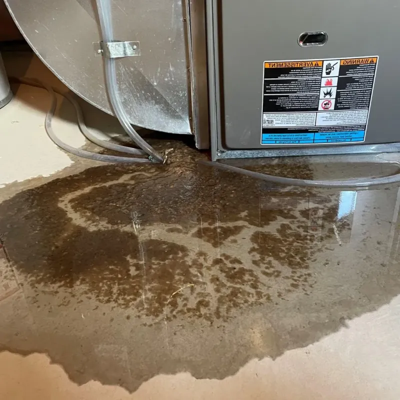 Pipe Burst and Leak Restoration in Marengo, IA