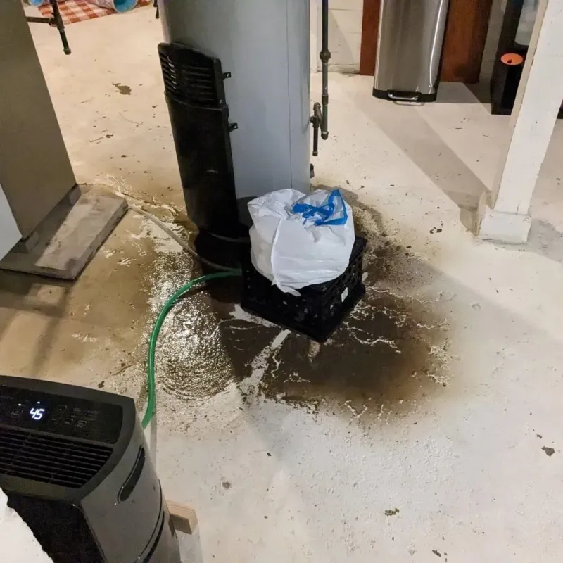 Sewage Backup Cleanup Service in Marengo, IA